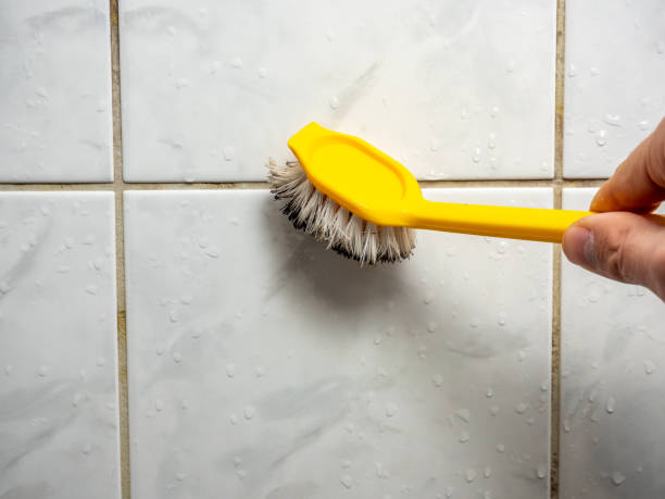 Best Affordable Mold Removal  in Annapolis Neck, MD